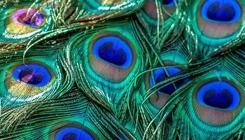 Energie update Blauwe Hand levenspad 25 april - 7 Mei 2020: Wat jij kunt betekenen voor de samenleving